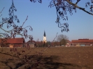 Dorfansichten 10