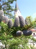 Dorfansichten 14