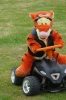 Dorffest