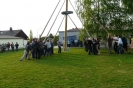 Maibaum aufstellen