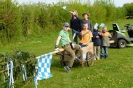 Maibaum aufstellen