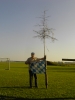 Alten Maibaum umlegen