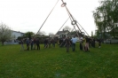Maibaum aufstellen