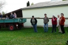 Maibaum aufstellen