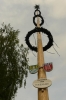 Maibaumaufstellen