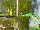 Alten Maibaum umlegen