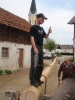 Maibaum holen