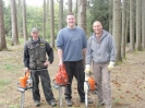 Maibaum holen