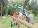 Maibaum holen