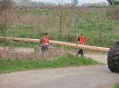 Maibaum holen