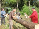 Maibaum holen
