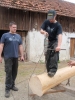 Maibaum holen