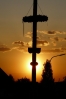 Maibaum