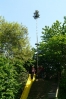 Maibaum