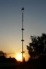 Maibaum