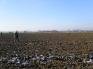 Treibjagd 2008