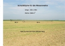 Wiesenweihe
