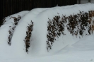 Schnee wohin man schaut