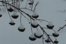 Schnee wohin man schaut
