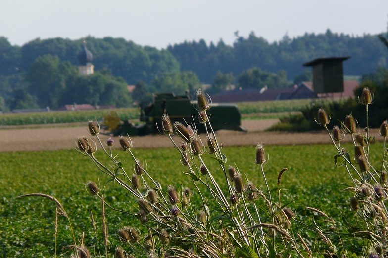 P1390343