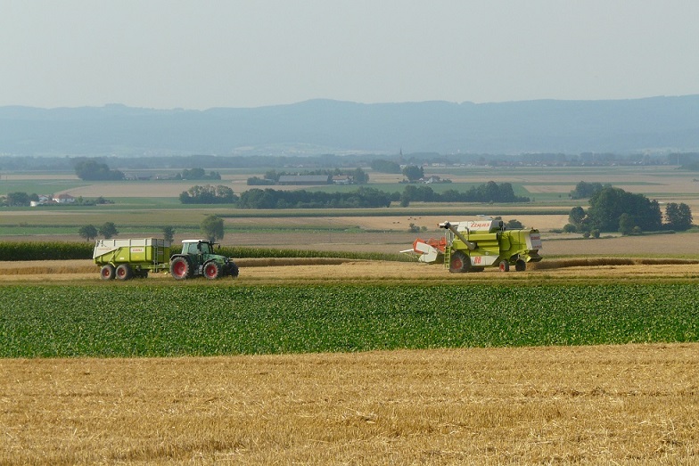 P1390465