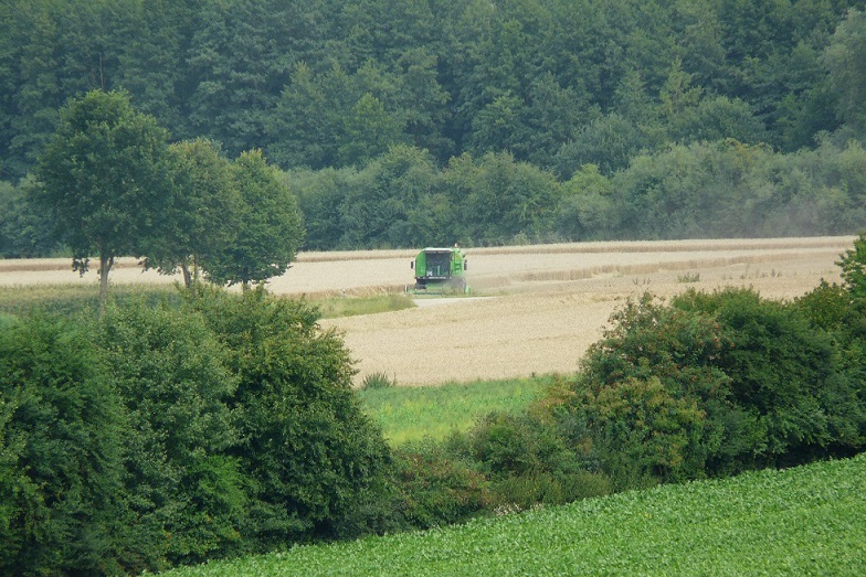 P1390671