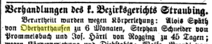1863 Straubinger Tagblatt Messerstecherei