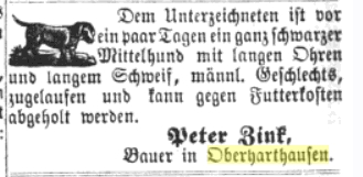 1865 Straubinger Tagblatt Hund zugelaufen