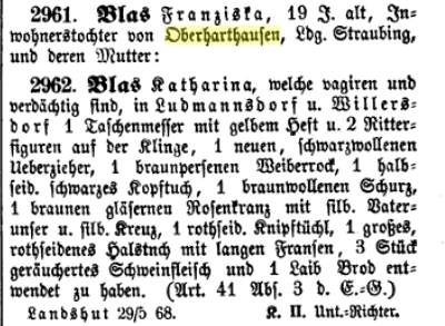 1868 Familie Blas Diebstahl central polizeiblatt