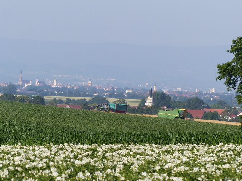 P1050386