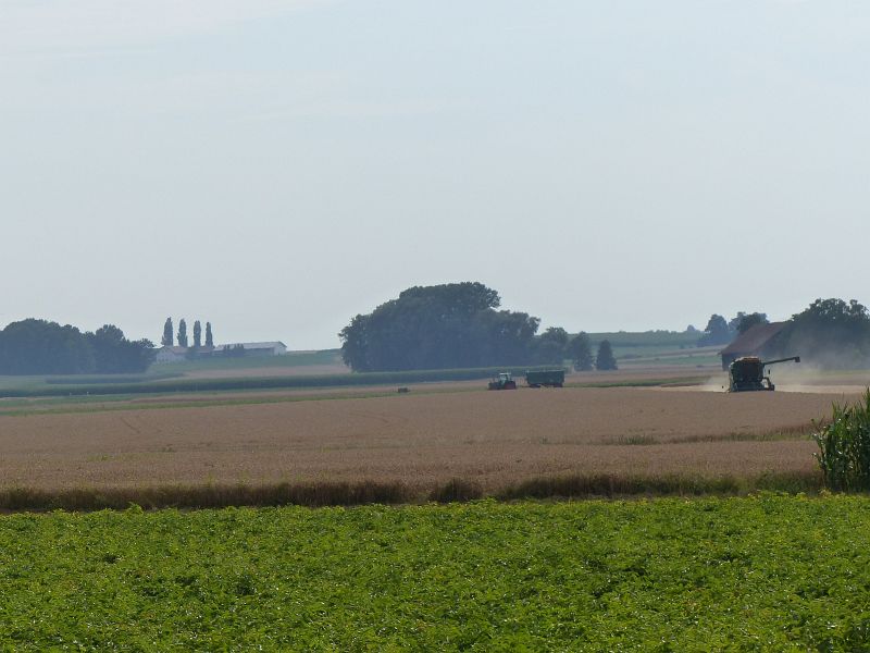 P1050920