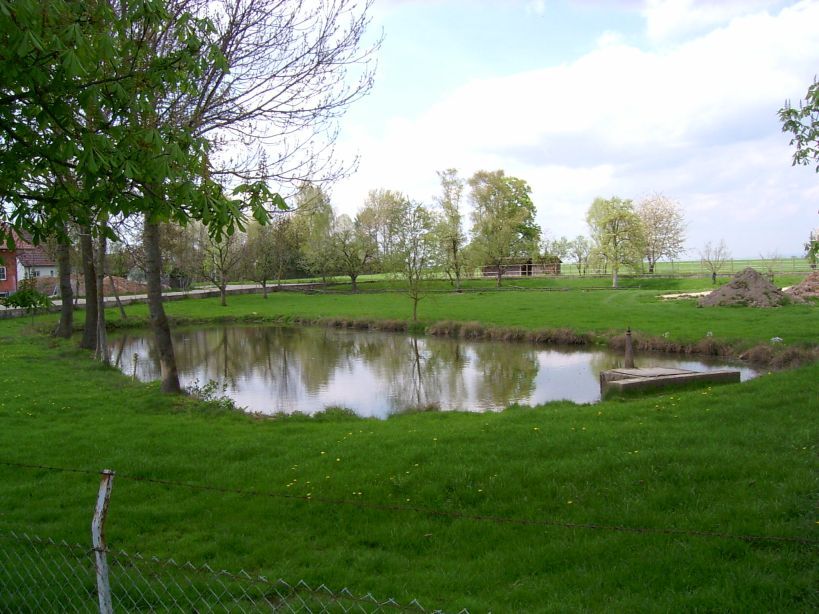 PIC 0373