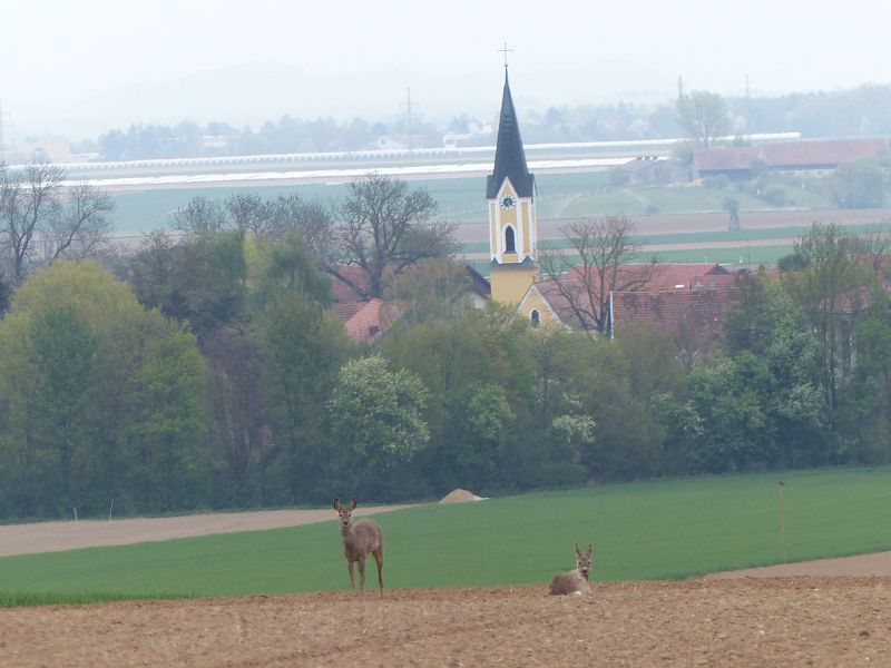 P1160100
