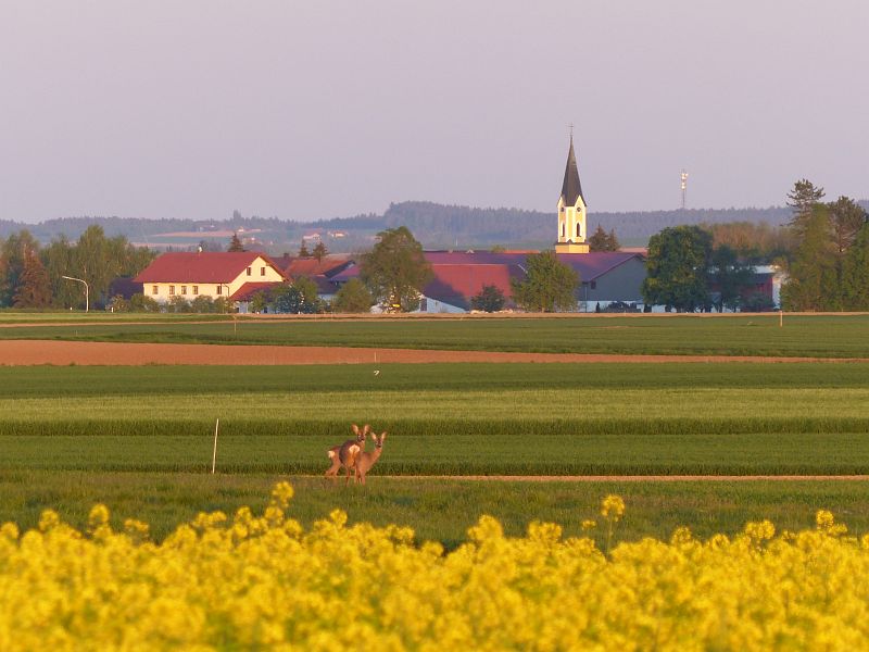 P1160677