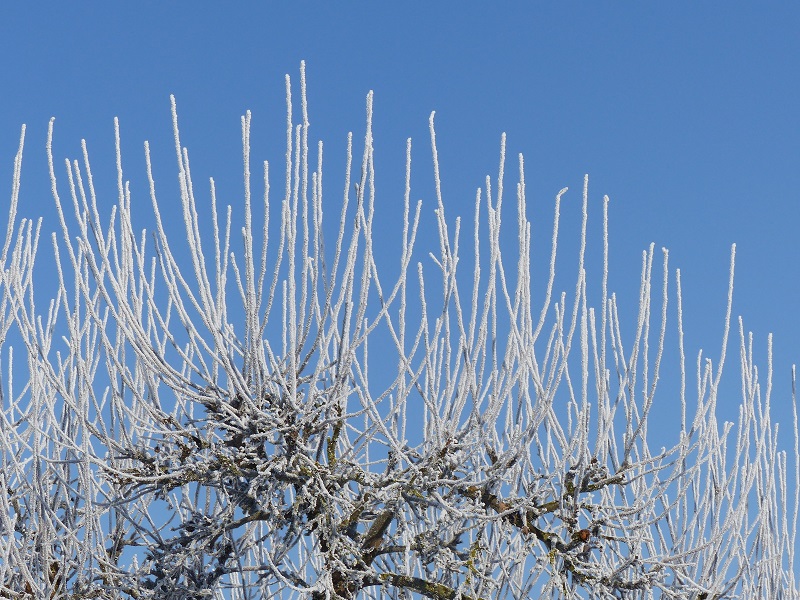 P1110576