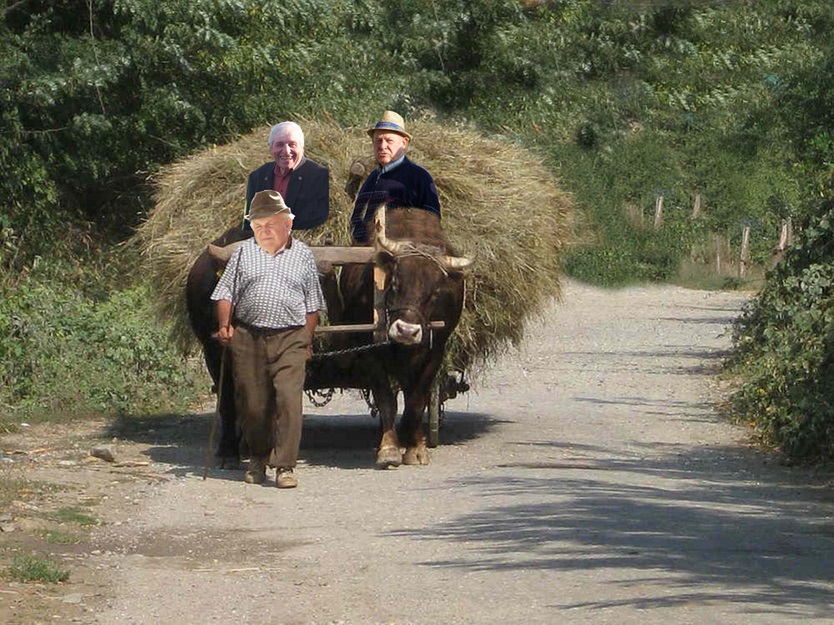 Heufahrer