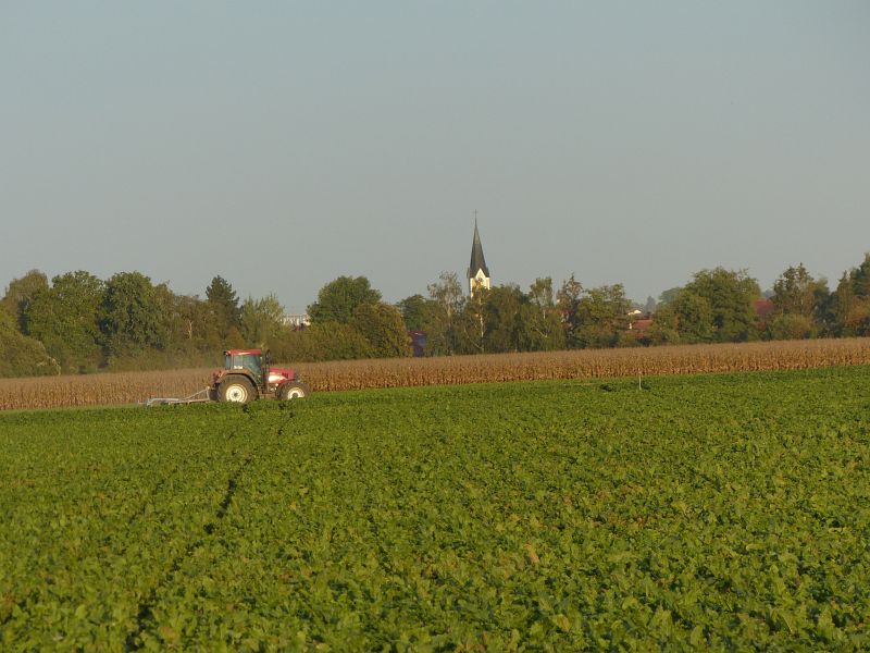 P1530290