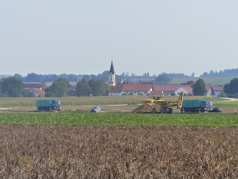 P1530447