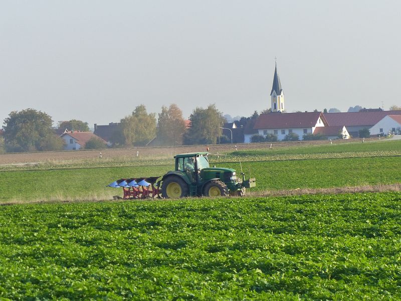 P1540538