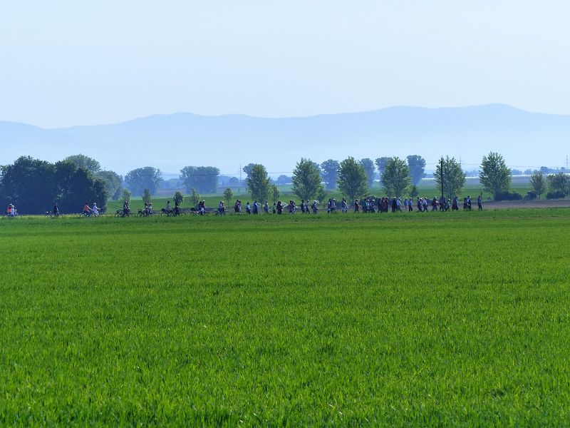 P1500492