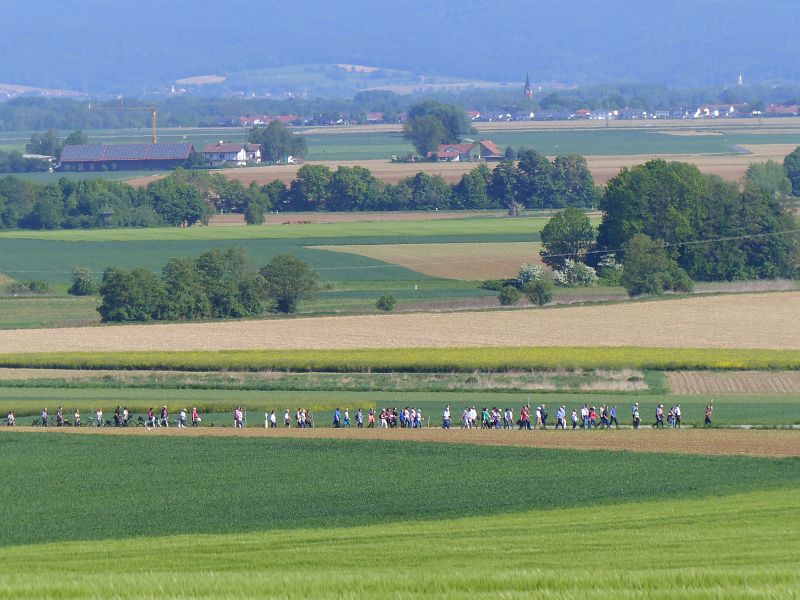 P1500537