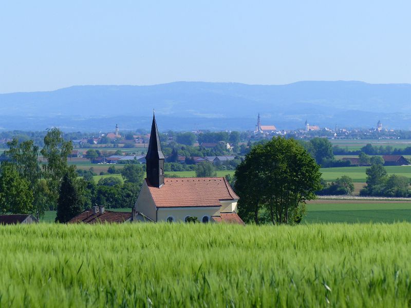 P1500543