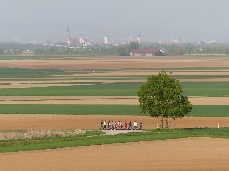 P1500139