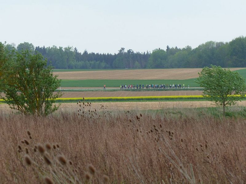 P1500203