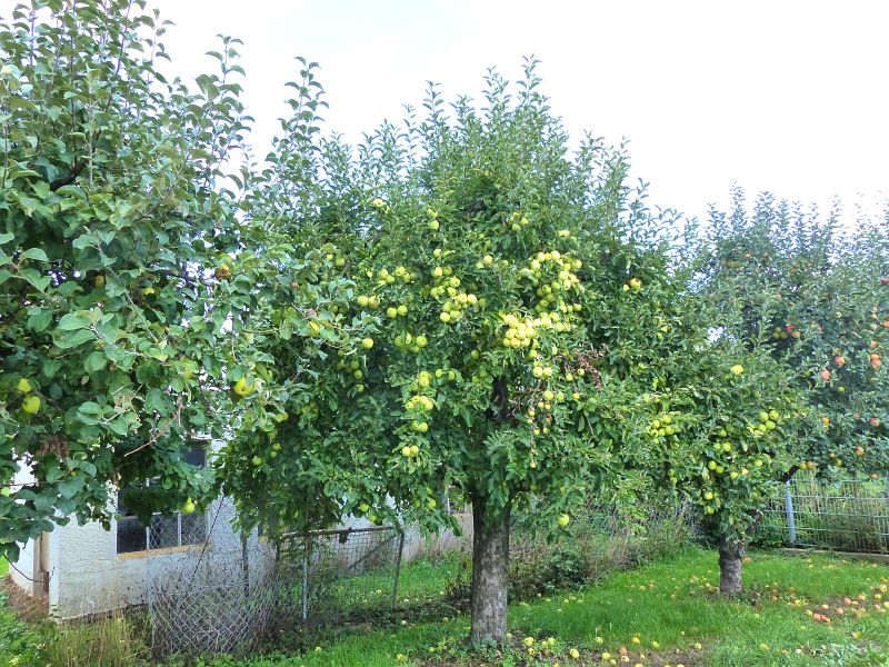 P1530218
