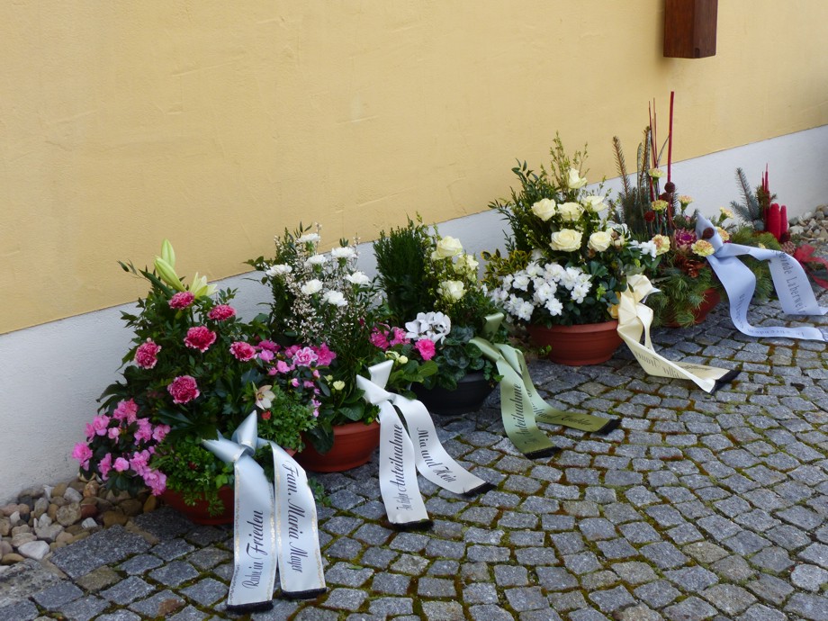 P1560662