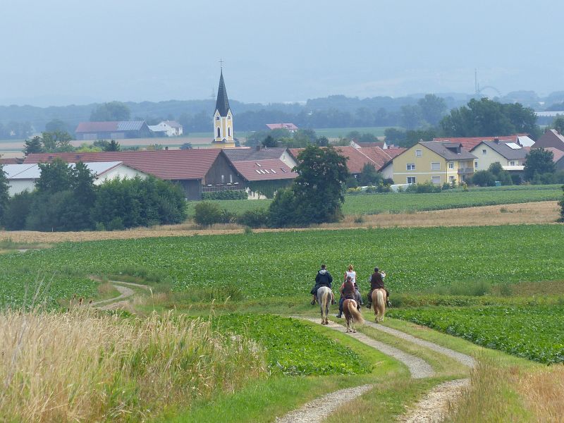 P1640611