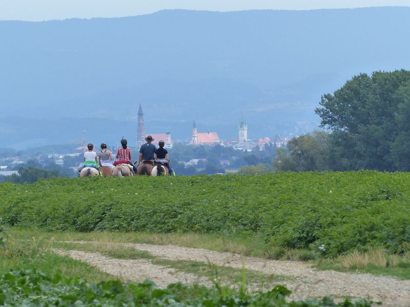 P1640792