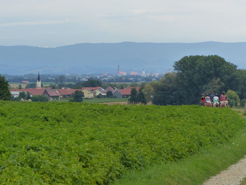 P1640796