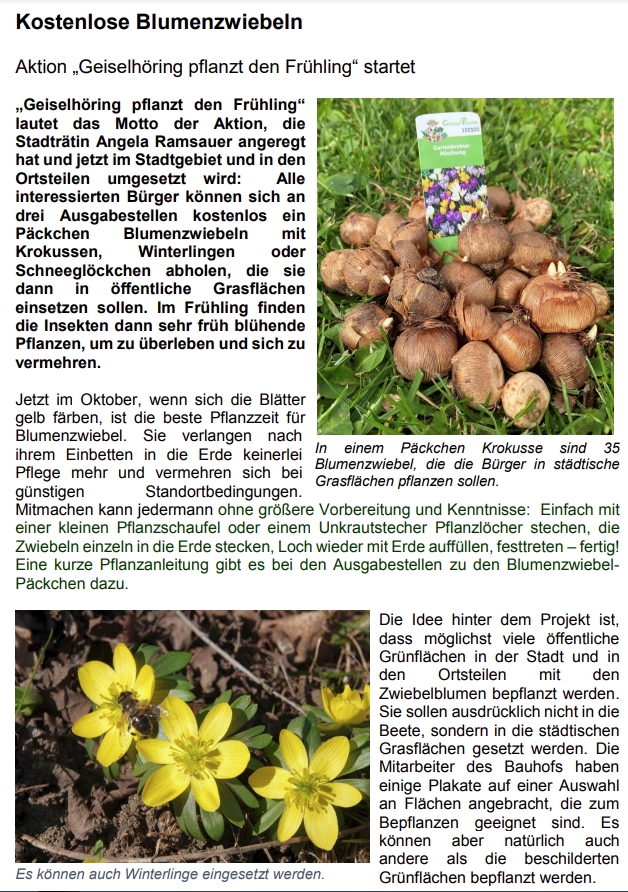 Blumenzwiebeln GH